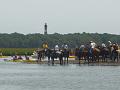 Chincoteague Pony Swim July 2007 072